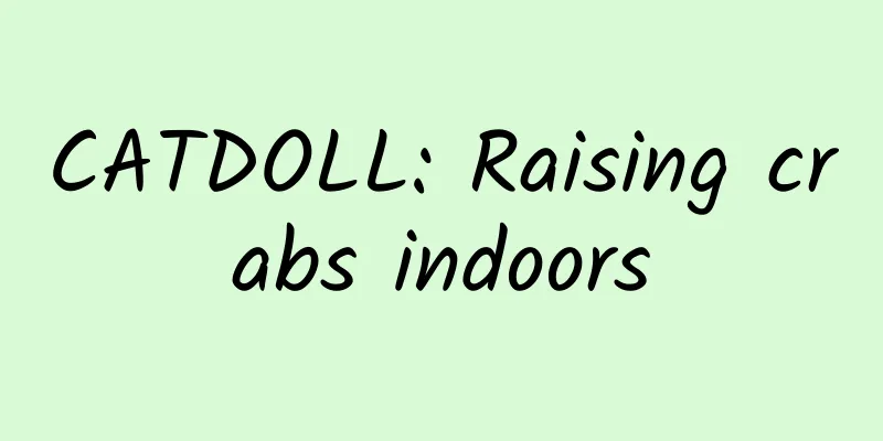 CATDOLL: Raising crabs indoors