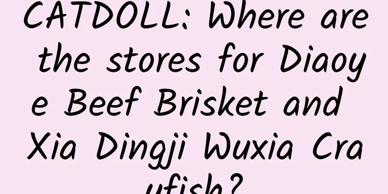 CATDOLL: Where are the stores for Diaoye Beef Brisket and Xia Dingji Wuxia Crayfish?