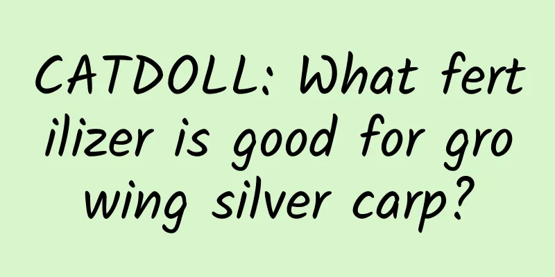 CATDOLL: What fertilizer is good for growing silver carp?