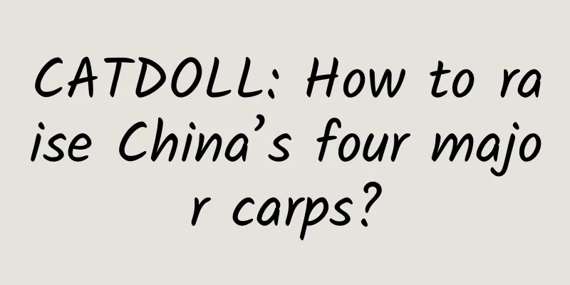 CATDOLL: How to raise China’s four major carps?