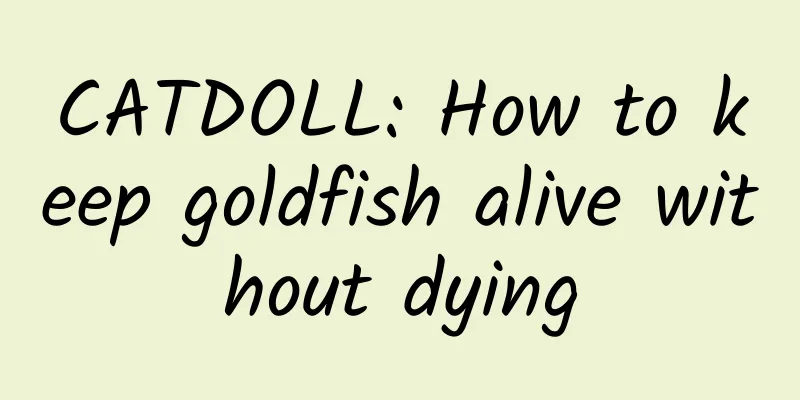 CATDOLL: How to keep goldfish alive without dying