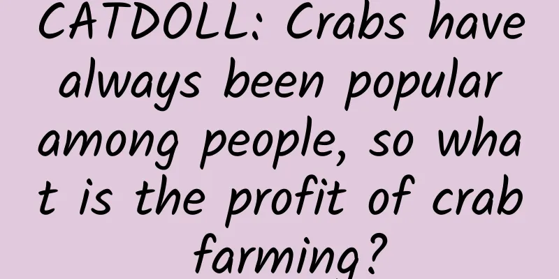 CATDOLL: Crabs have always been popular among people, so what is the profit of crab farming?