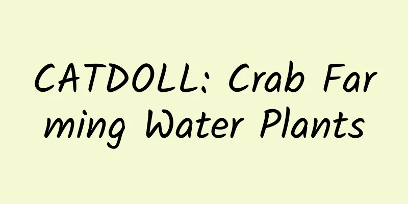 CATDOLL: Crab Farming Water Plants