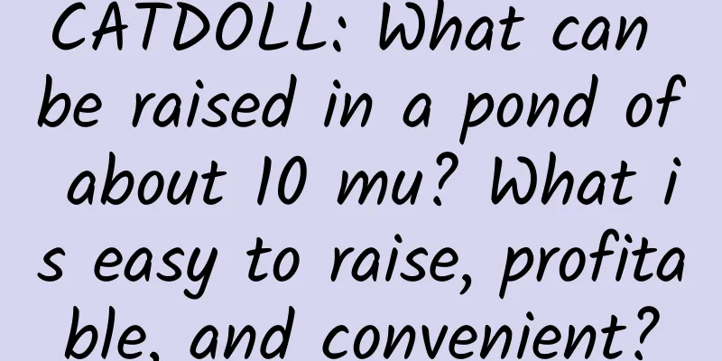 CATDOLL: What can be raised in a pond of about 10 mu? What is easy to raise, profitable, and convenient?
