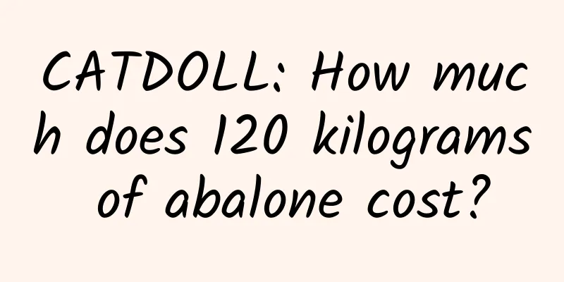 CATDOLL: How much does 120 kilograms of abalone cost?
