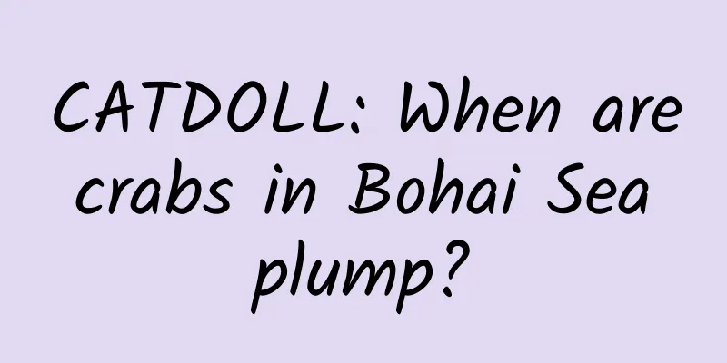 CATDOLL: When are crabs in Bohai Sea plump?