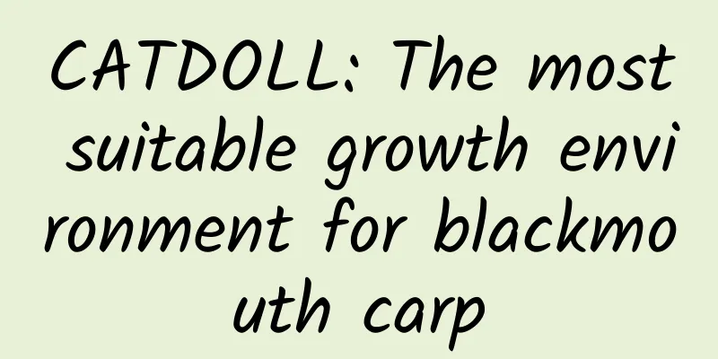 CATDOLL: The most suitable growth environment for blackmouth carp
