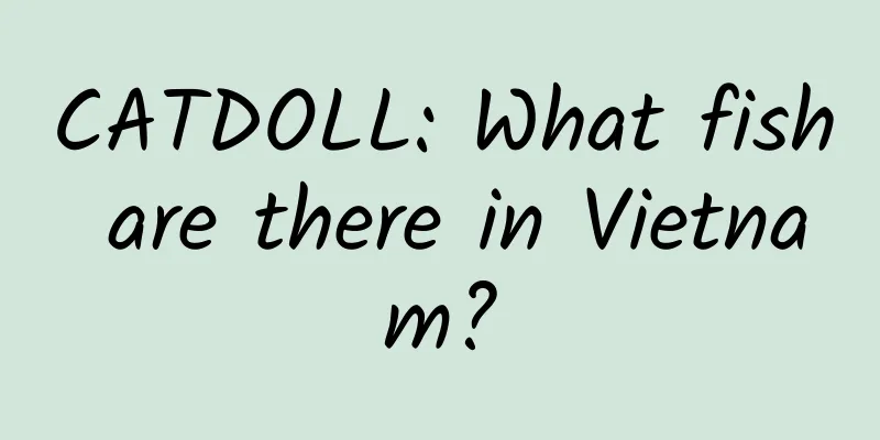 CATDOLL: What fish are there in Vietnam?