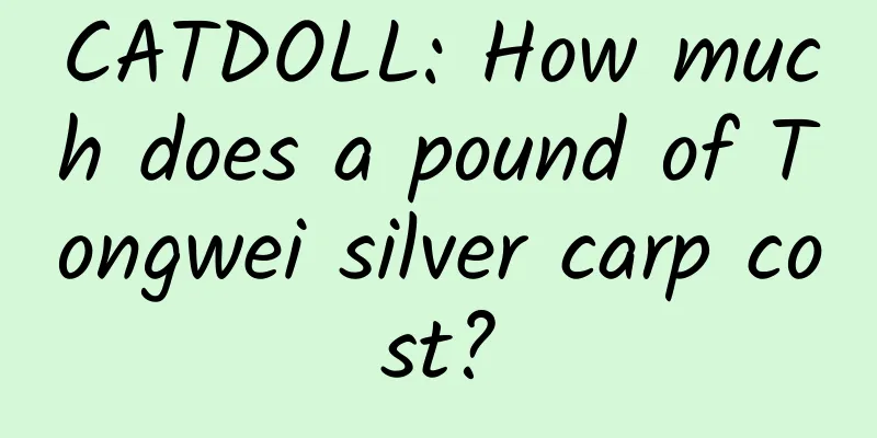 CATDOLL: How much does a pound of Tongwei silver carp cost?