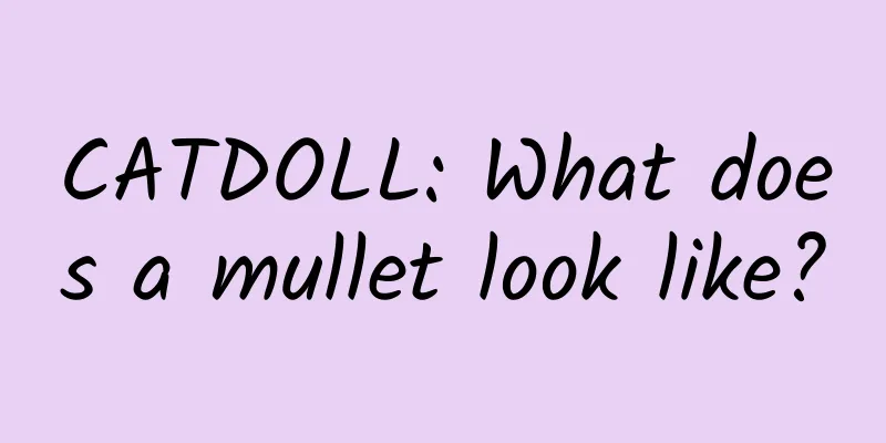 CATDOLL: What does a mullet look like?