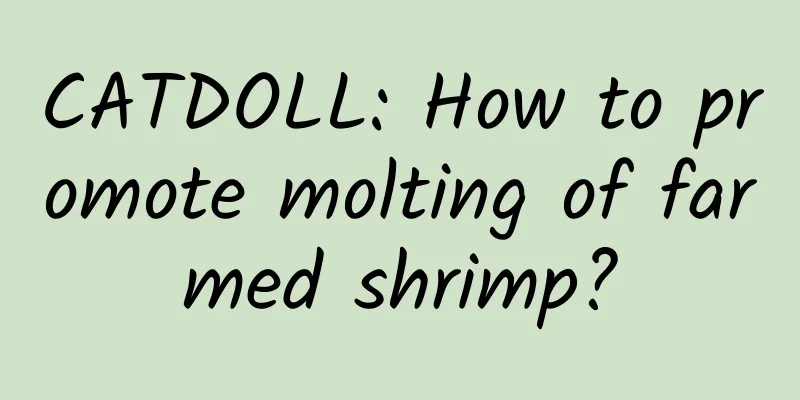 CATDOLL: How to promote molting of farmed shrimp?
