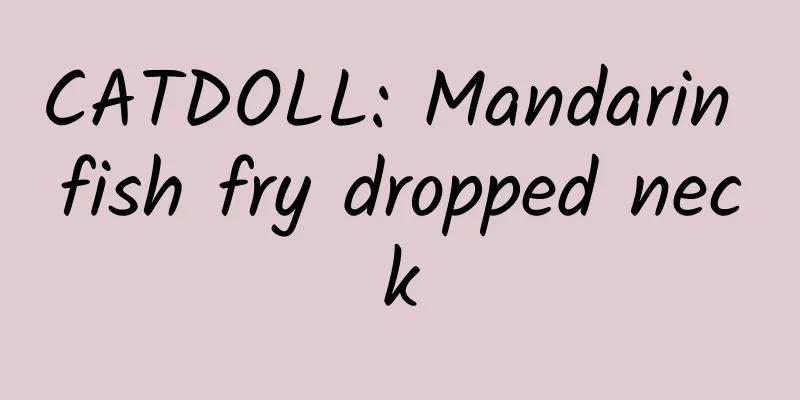 CATDOLL: Mandarin fish fry dropped neck