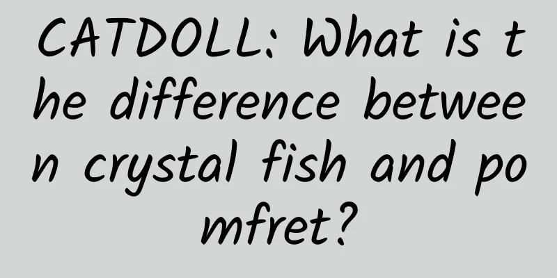 CATDOLL: What is the difference between crystal fish and pomfret?