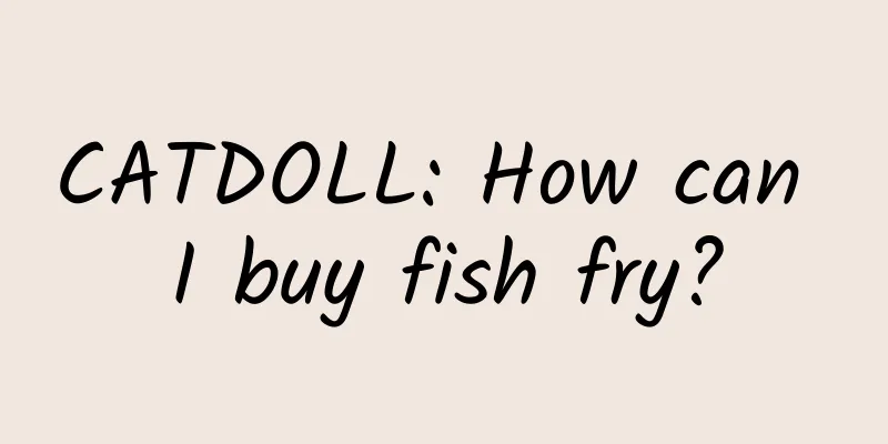 CATDOLL: How can I buy fish fry?