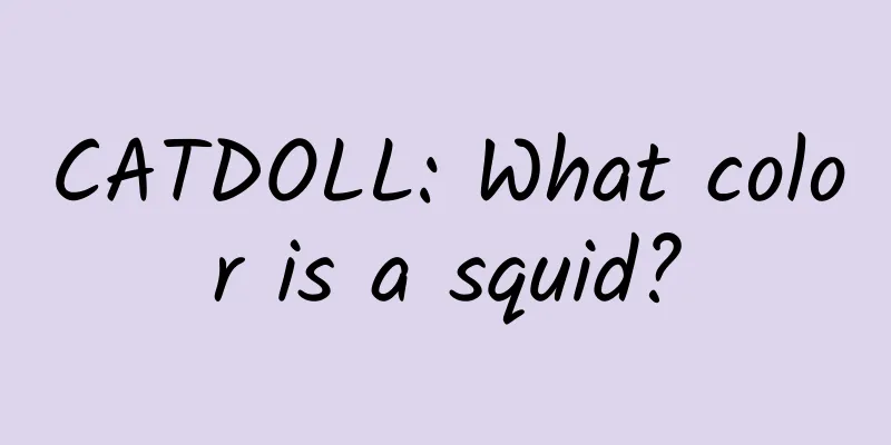CATDOLL: What color is a squid?