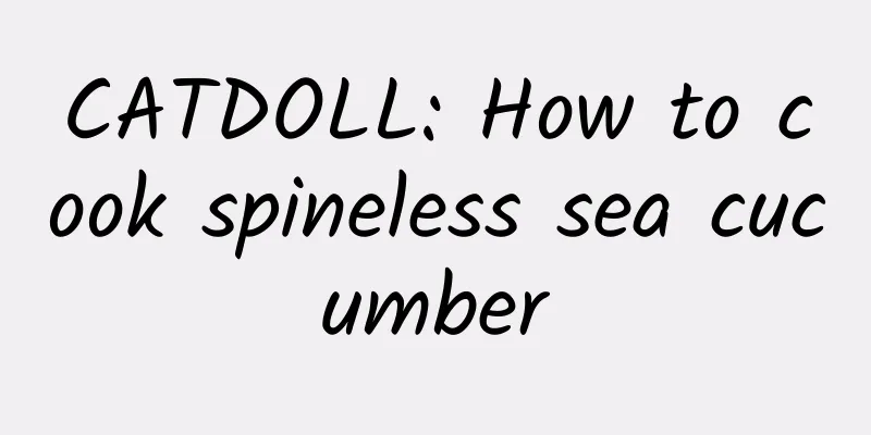 CATDOLL: How to cook spineless sea cucumber