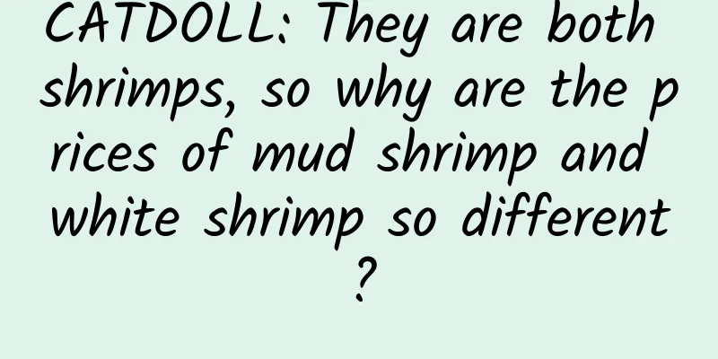 CATDOLL: They are both shrimps, so why are the prices of mud shrimp and white shrimp so different?