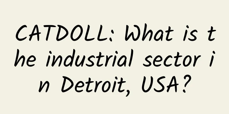 CATDOLL: What is the industrial sector in Detroit, USA?