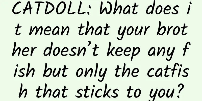 CATDOLL: What does it mean that your brother doesn’t keep any fish but only the catfish that sticks to you?