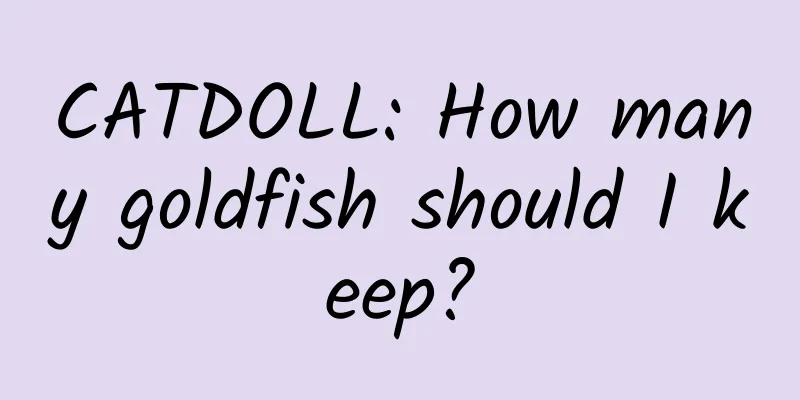 CATDOLL: How many goldfish should I keep?