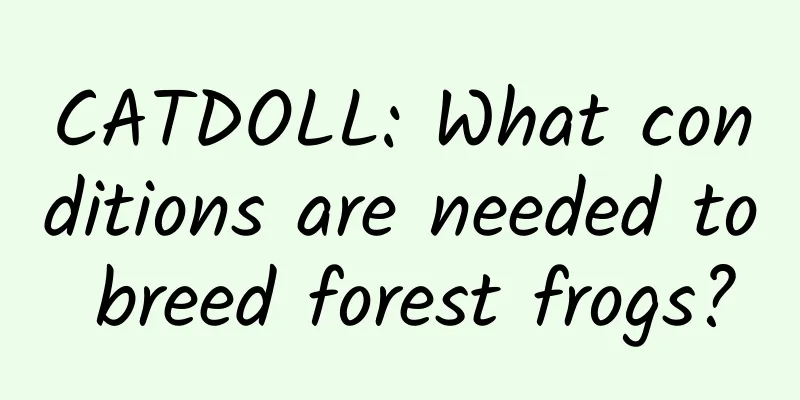 CATDOLL: What conditions are needed to breed forest frogs?