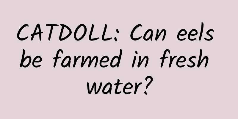CATDOLL: Can eels be farmed in fresh water?