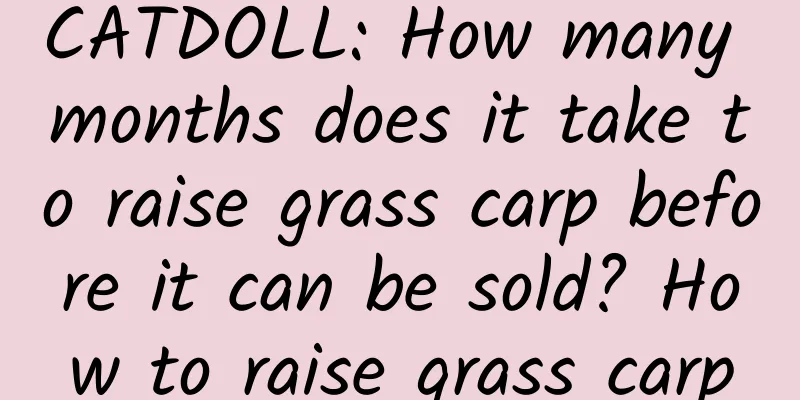 CATDOLL: How many months does it take to raise grass carp before it can be sold? How to raise grass carp