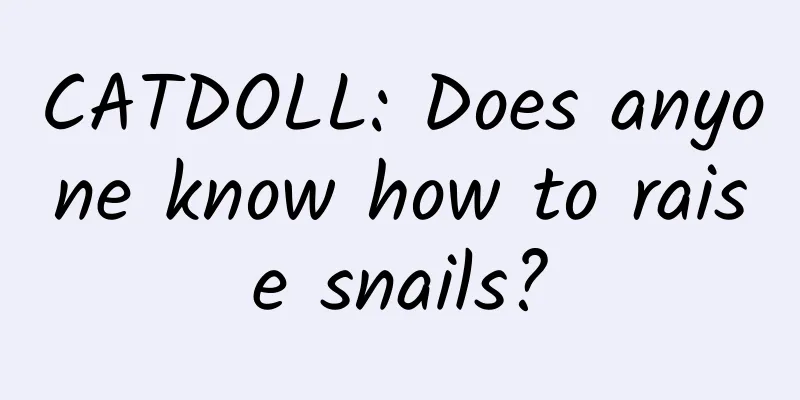 CATDOLL: Does anyone know how to raise snails?