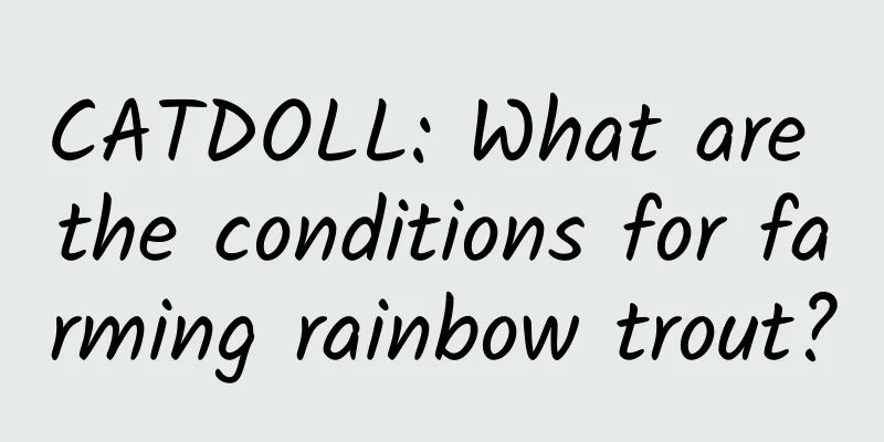 CATDOLL: What are the conditions for farming rainbow trout?
