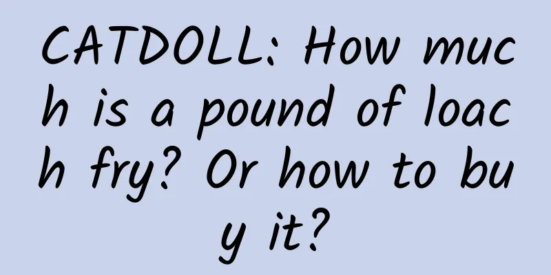 CATDOLL: How much is a pound of loach fry? Or how to buy it?