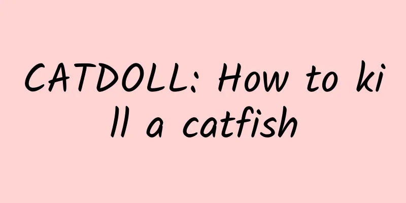 CATDOLL: How to kill a catfish