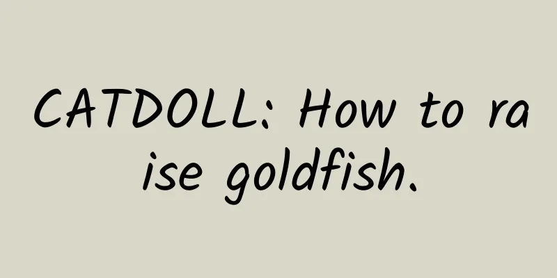 CATDOLL: How to raise goldfish.