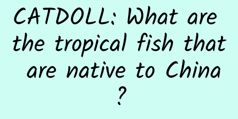 CATDOLL: What are the tropical fish that are native to China?