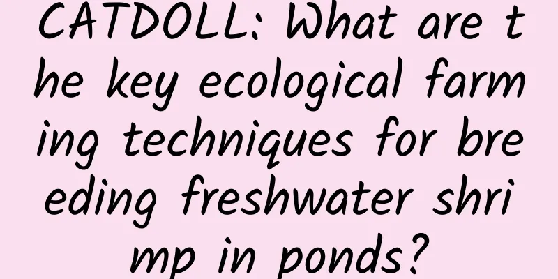 CATDOLL: What are the key ecological farming techniques for breeding freshwater shrimp in ponds?