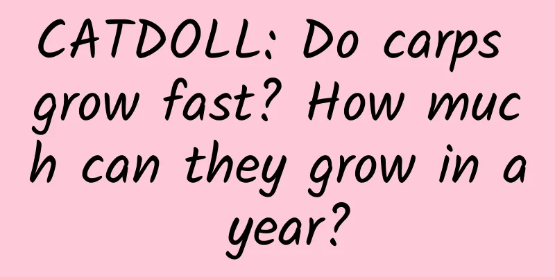 CATDOLL: Do carps grow fast? How much can they grow in a year?