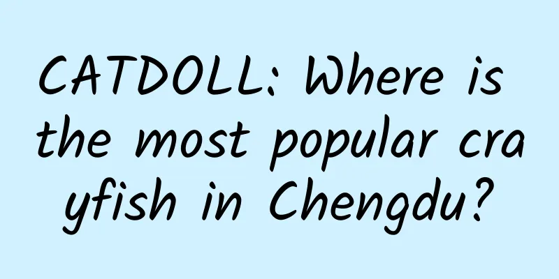 CATDOLL: Where is the most popular crayfish in Chengdu?