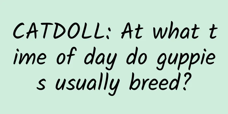 CATDOLL: At what time of day do guppies usually breed?