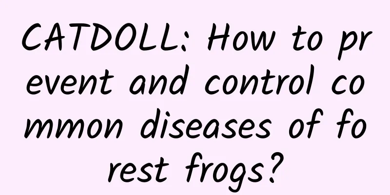 CATDOLL: How to prevent and control common diseases of forest frogs?