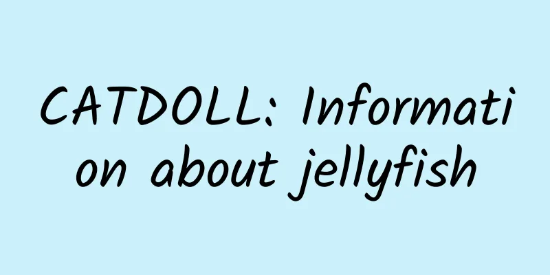 CATDOLL: Information about jellyfish