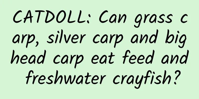 CATDOLL: Can grass carp, silver carp and bighead carp eat feed and freshwater crayfish?