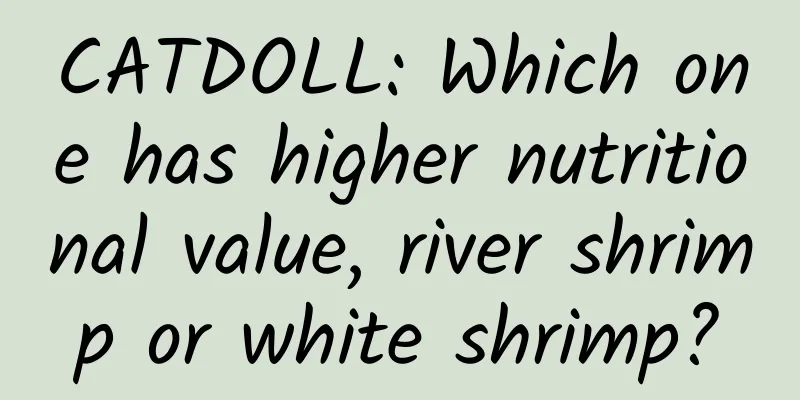 CATDOLL: Which one has higher nutritional value, river shrimp or white shrimp?
