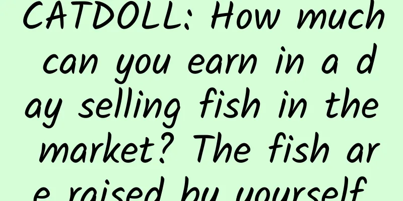CATDOLL: How much can you earn in a day selling fish in the market? The fish are raised by yourself.