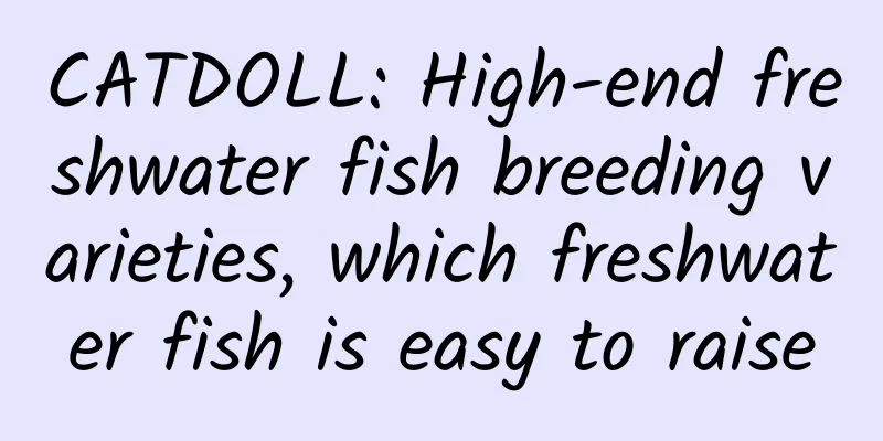 CATDOLL: High-end freshwater fish breeding varieties, which freshwater fish is easy to raise
