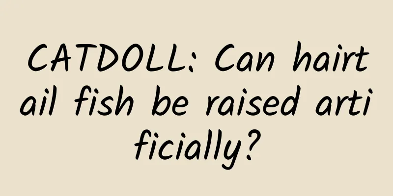 CATDOLL: Can hairtail fish be raised artificially?