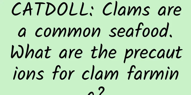 CATDOLL: Clams are a common seafood. What are the precautions for clam farming?