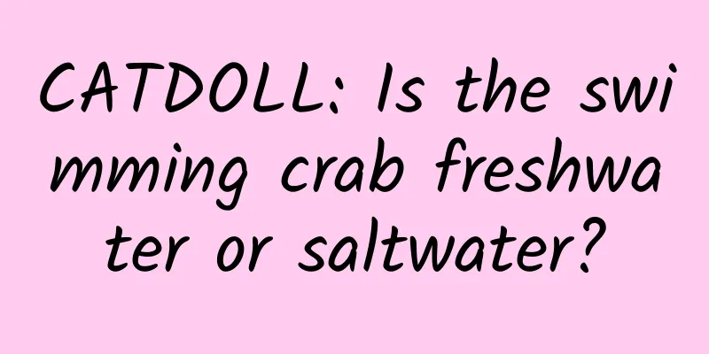 CATDOLL: Is the swimming crab freshwater or saltwater?