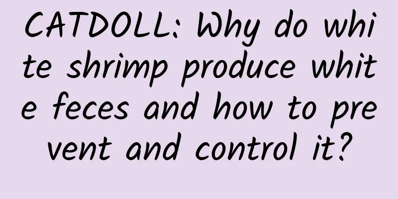 CATDOLL: Why do white shrimp produce white feces and how to prevent and control it?