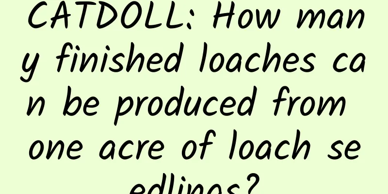 CATDOLL: How many finished loaches can be produced from one acre of loach seedlings?
