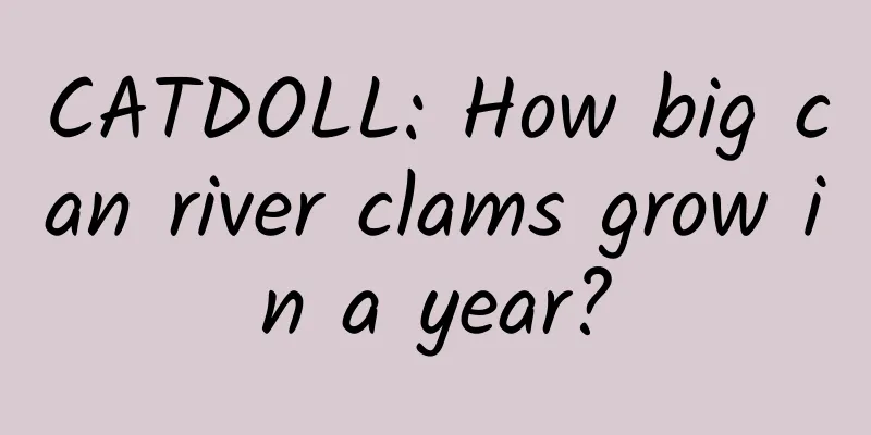 CATDOLL: How big can river clams grow in a year?