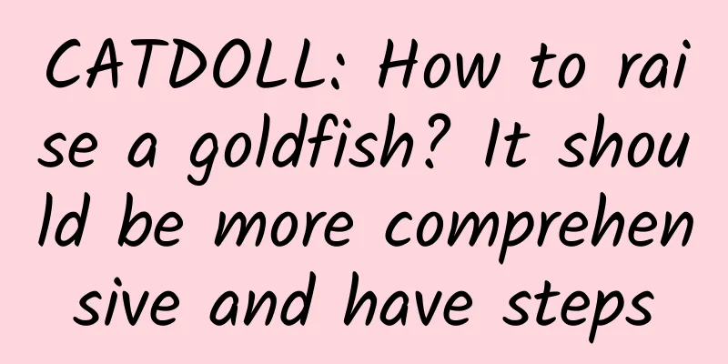 CATDOLL: How to raise a goldfish? It should be more comprehensive and have steps